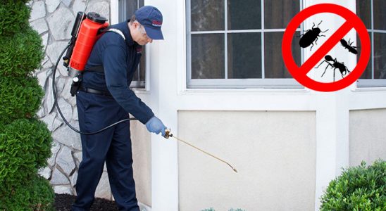 Yusufeli Kemirgen İlaçlama böcek ilaçlama ve haşere kontrolü — ilaclama-tr.com